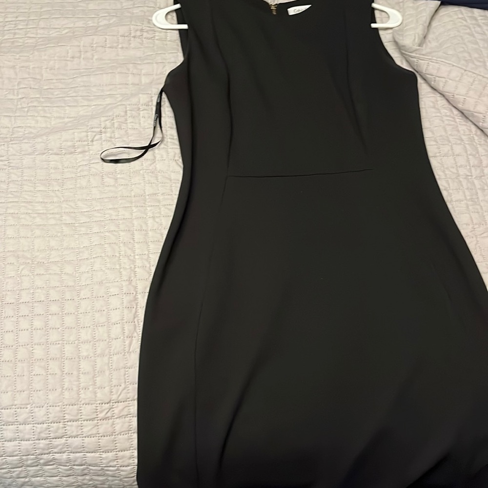 Calvin Klein Fitted Dress